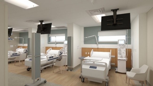 rendering of the renal unit 